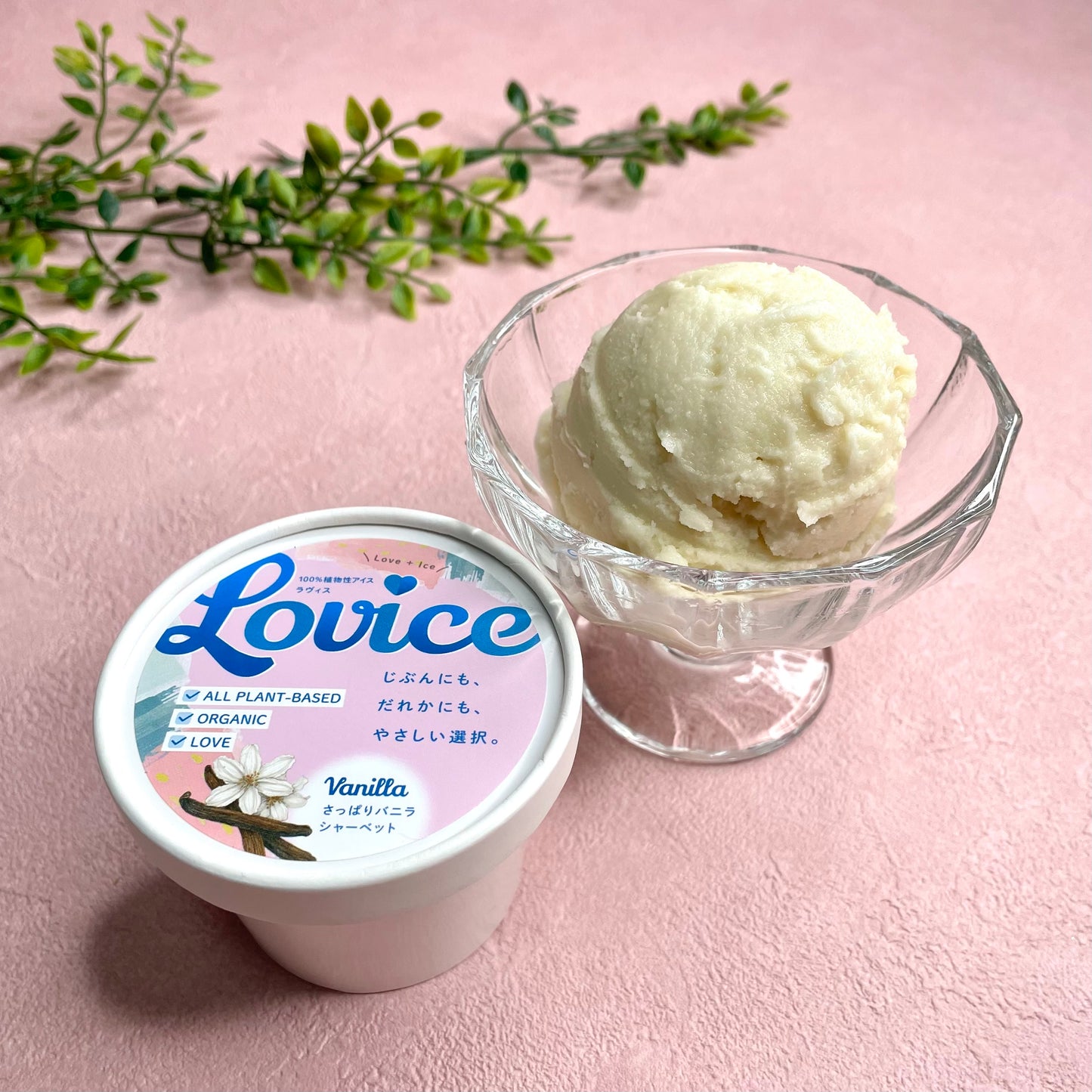 Lovice〜さっぱりバニラシャーベット〜